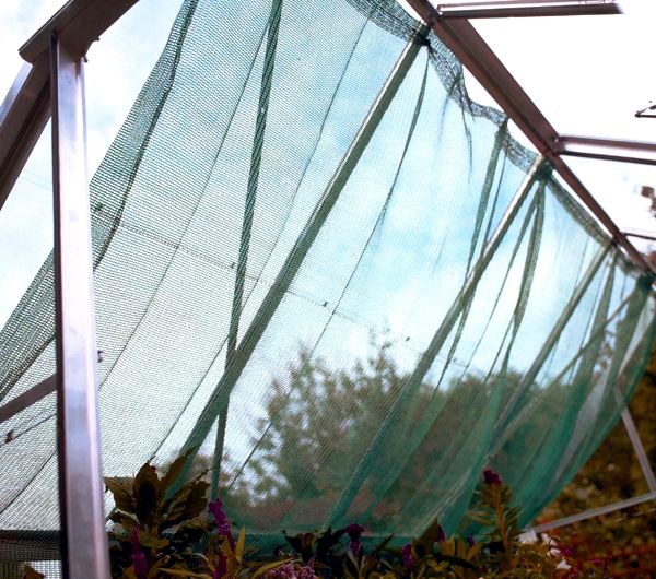 Juliana Noblefolie Type 150 x 370 cm grøn